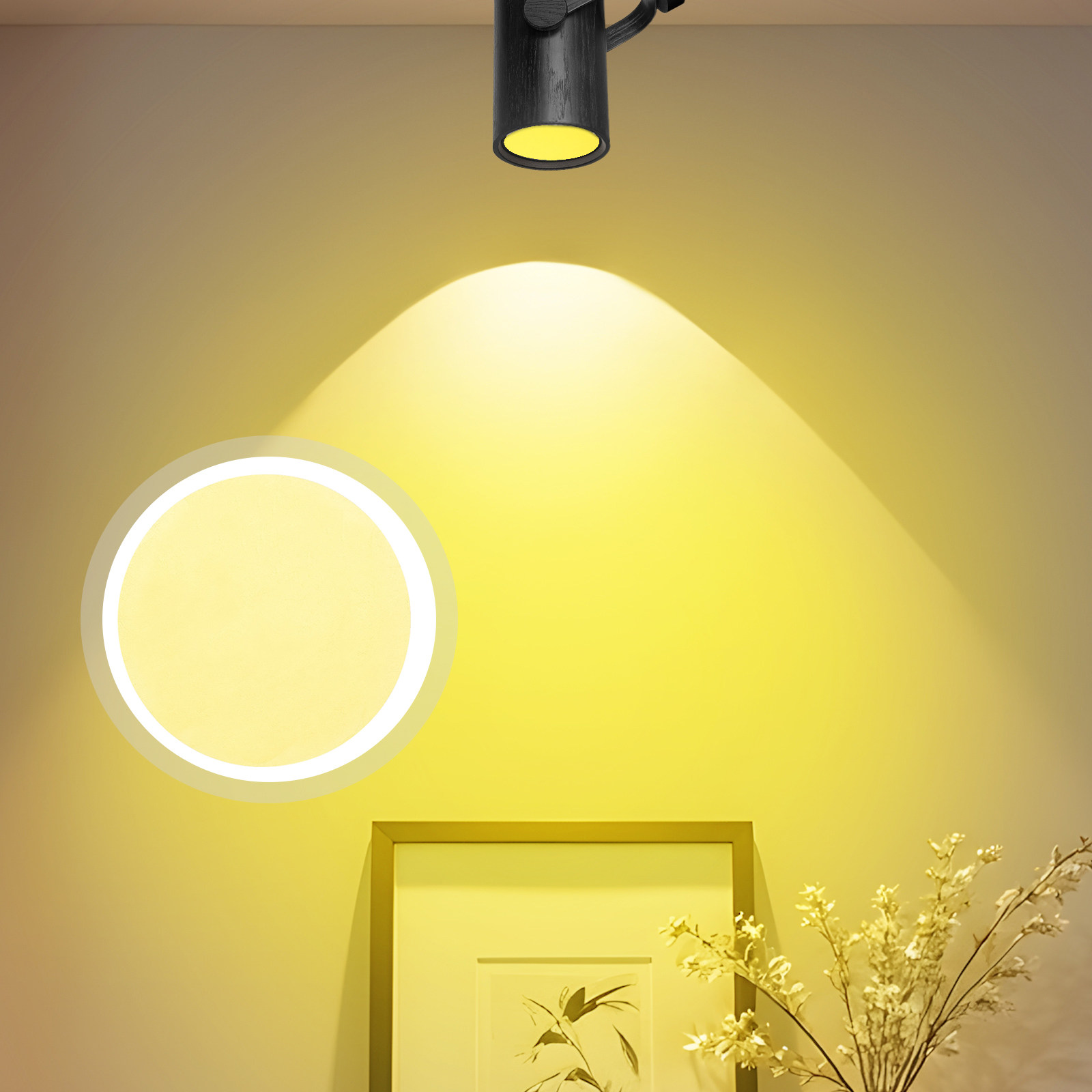 Photography Yellow Light - 5 Stück Lichtfilterfolien für Fotografie, Haustier-Farbfolien,