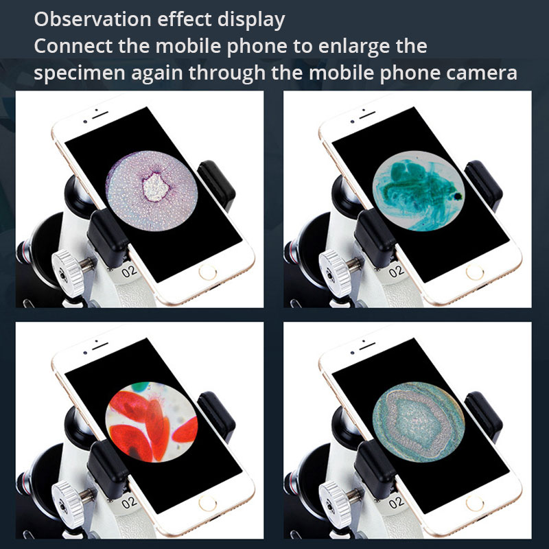 Optische Berufs Biologische Mi – Photography University Bewertung und Preis