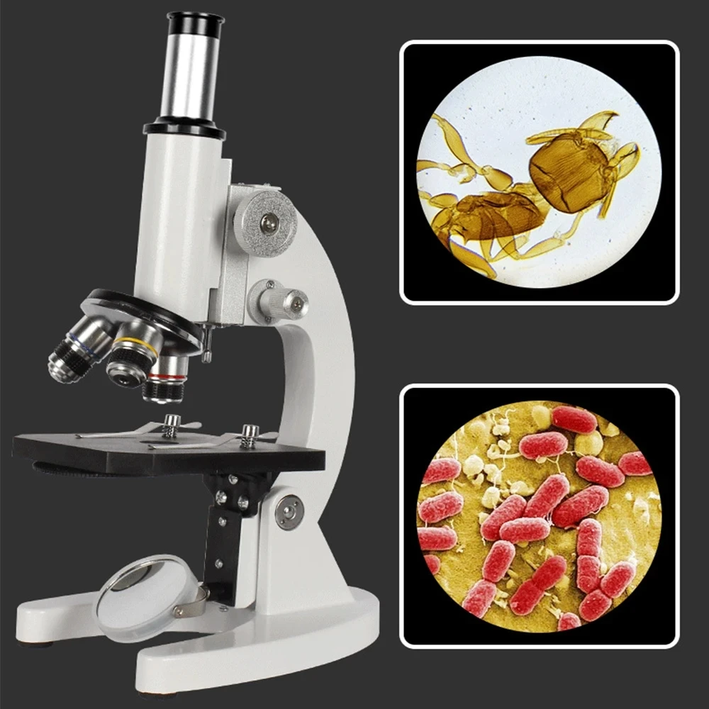 Optisches biologisches Mikrosk – Photography University Bewertung und Preis